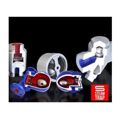 Picture of Bẫy hơi (Steam Trap) HELS