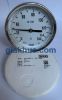 Đồng Hồ Đo Nhiệt Độ WIKA A52 150°C 