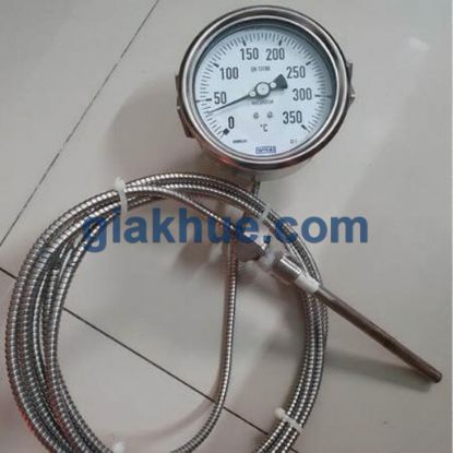 Picture of Đồng Hồ Nhiệt Độ WIKA F73.100