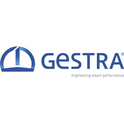 Picture for manufacturer GESTRA