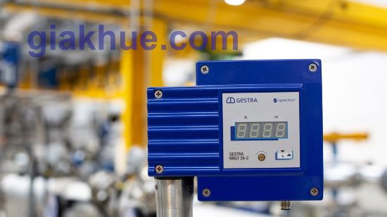 Picture of Cảm biến đo mức GESTRA NRGT 26-2 NRGT 26-2s