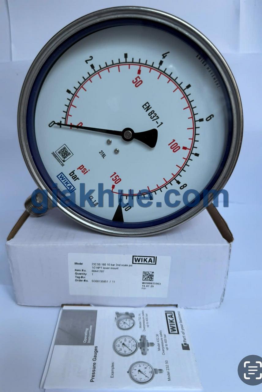 Mặt bên đồng hồ áp suất WIKA 232.50 160mm chân đứng